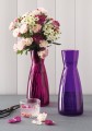 A usabilidade das garrafas é tão extensa que pode até mesmo serem usadas como vasos para flores e plantas
